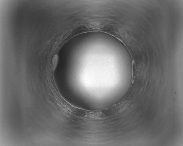 X0000071791201200607071446