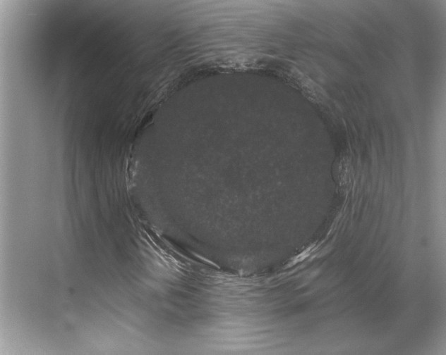 X0000071791202200607071447