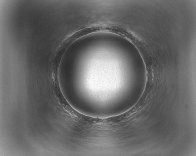 X0000071791206200607071447