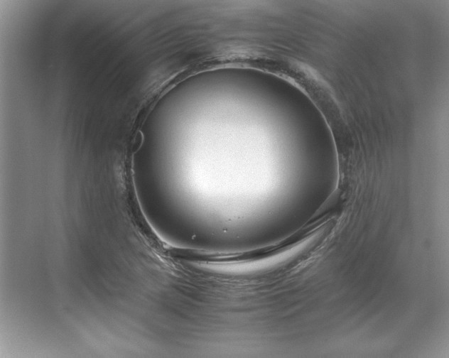 X0000071791217200607071447
