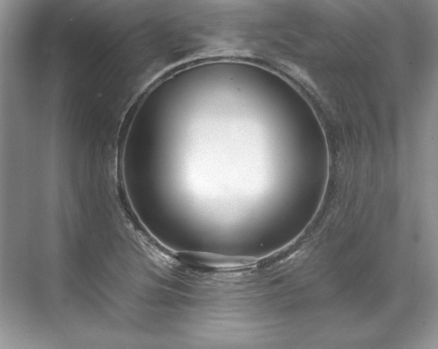 X0000071791220200607071447