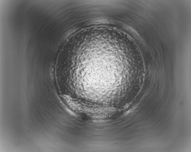 X0000071791225200607071447