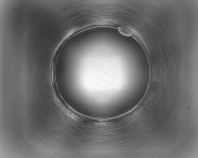 X0000071791227200607071447