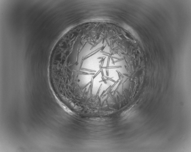 X0000071791237200607071447