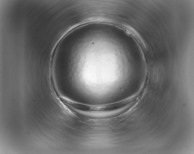 X0000071791244200607071447