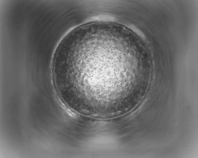 X0000071791248200607071447
