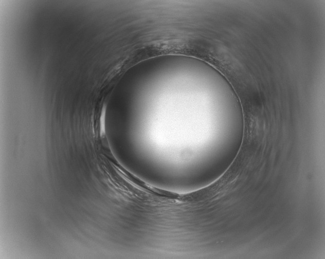X0000071791250200607071446