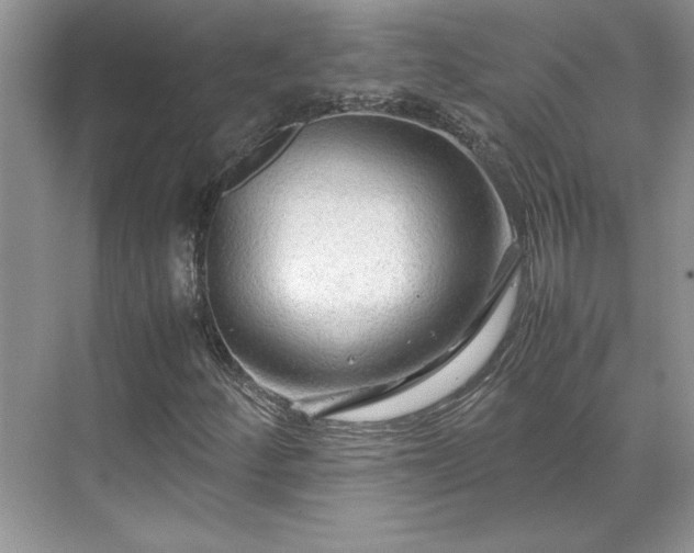 X0000071791252200607071446