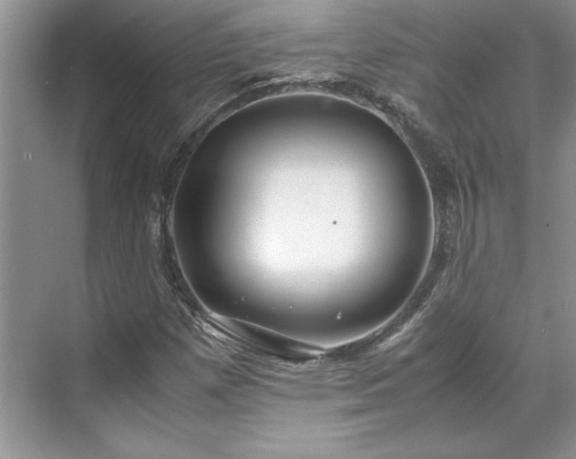 X0000071791257200607071446
