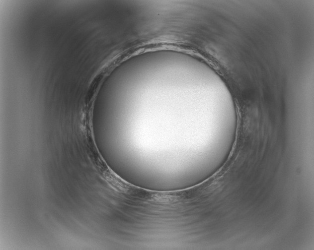 X0000071791258200607071446