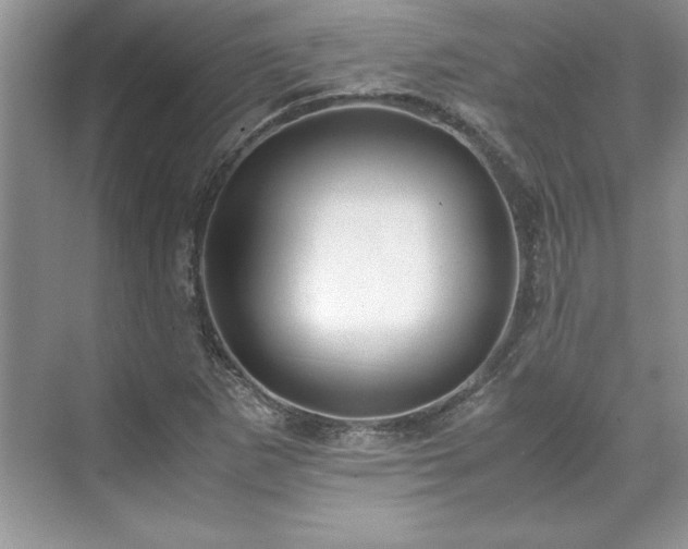 X0000071791265200607071446