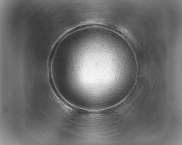 X0000071791268200607071446