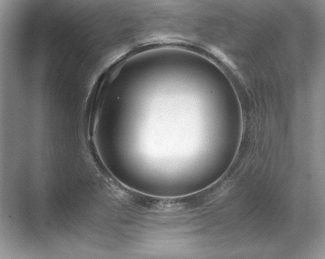 X0000071791269200607071446