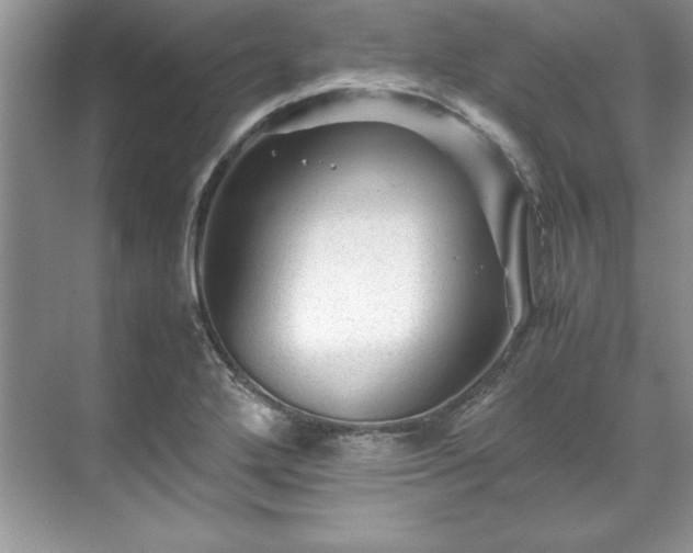 X0000071791272200607071446
