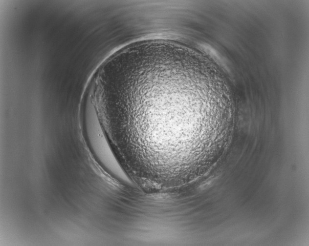 X0000071791276200607071446
