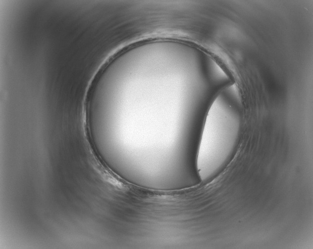 X0000071791280200607071446