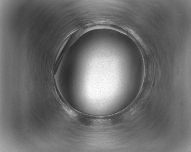 X0000071791281200607071446