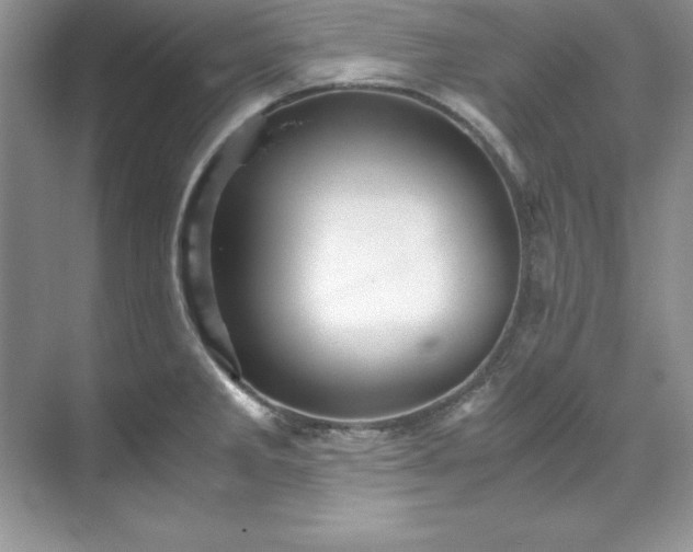 X0000071791285200607071446
