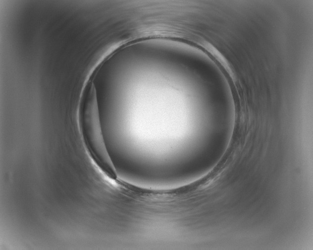 X0000071791293200607071446