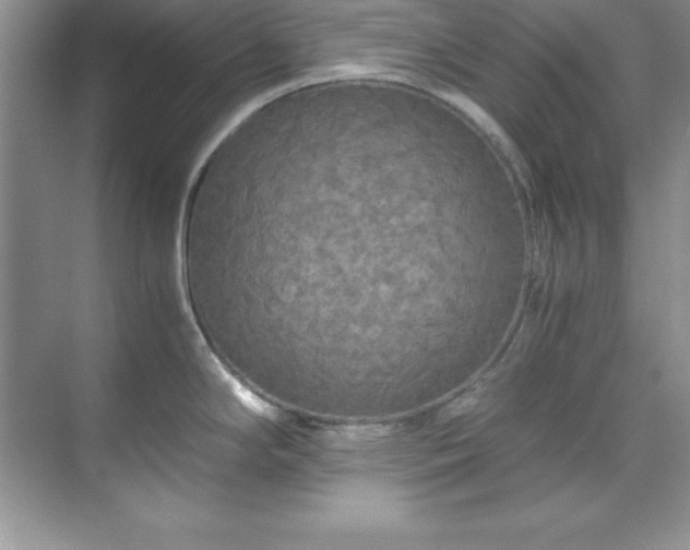 X0000071791294200607071446