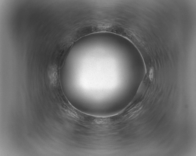 X0000071791299200607071445
