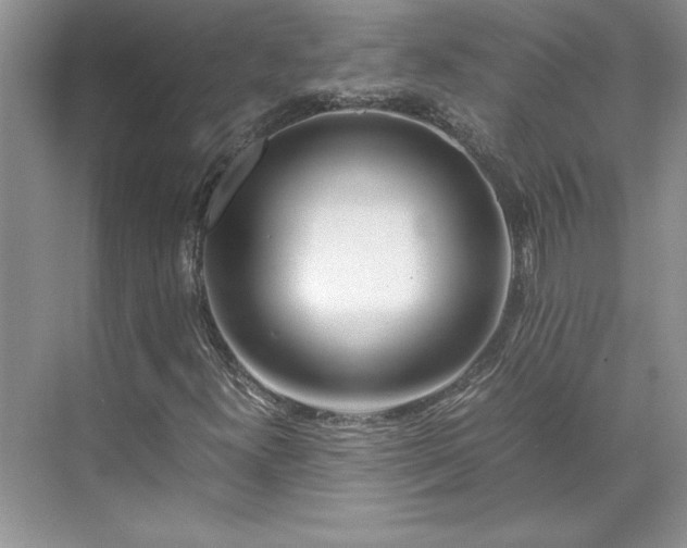 X0000071791300200607071445