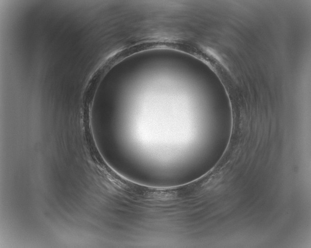 X0000071791307200607071445