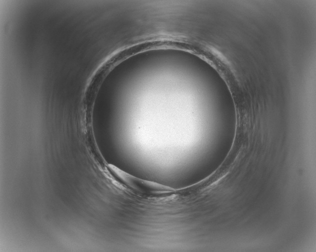 X0000071791310200607071445