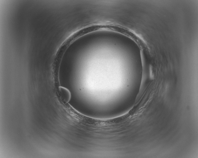 X0000071791311200607071445