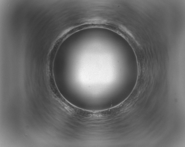 X0000071791315200607071445