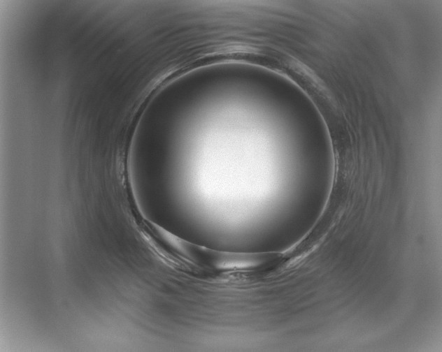 X0000071791321200607071445