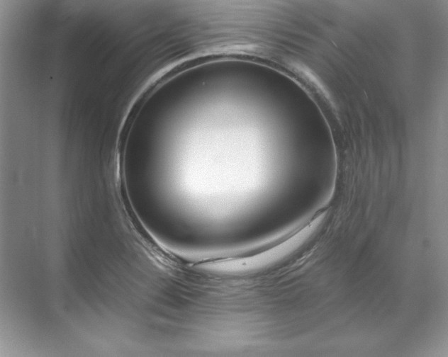 X0000071791324200607071445