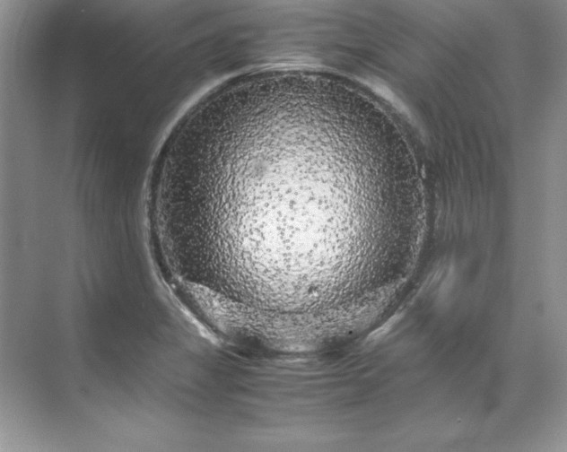 X0000071791325200607071445