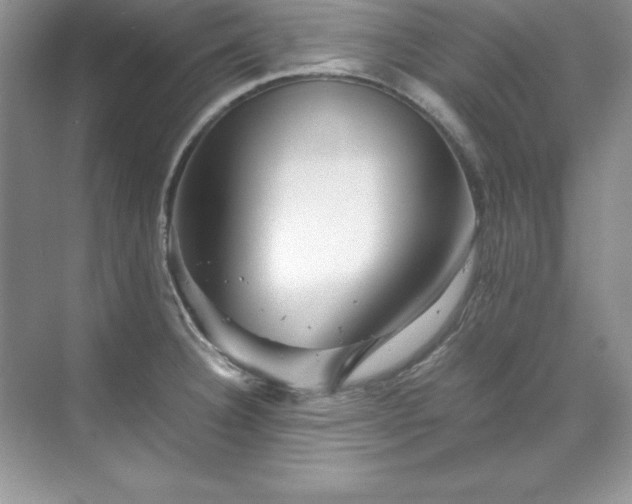 X0000071791332200607071445