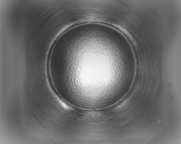 X0000071791333200607071445