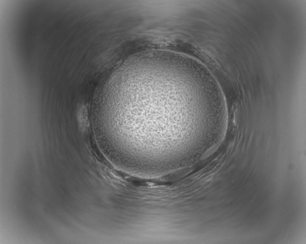 X0000071791347200607071445