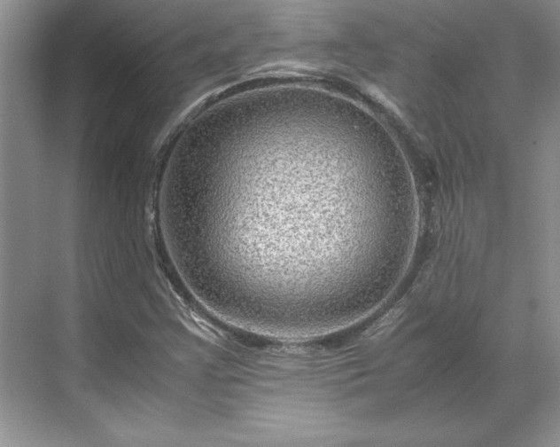 X0000071791355200607071445