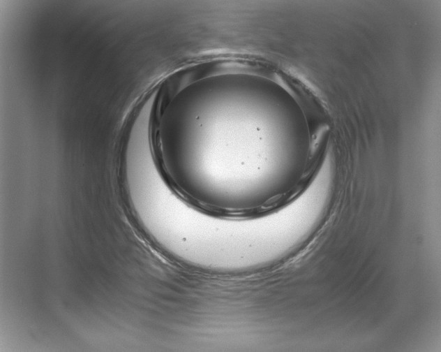 X0000071791357200607071445