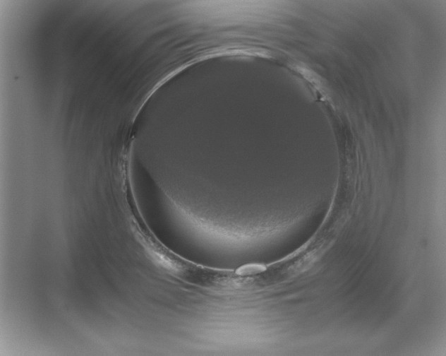 X0000071791369200607071444
