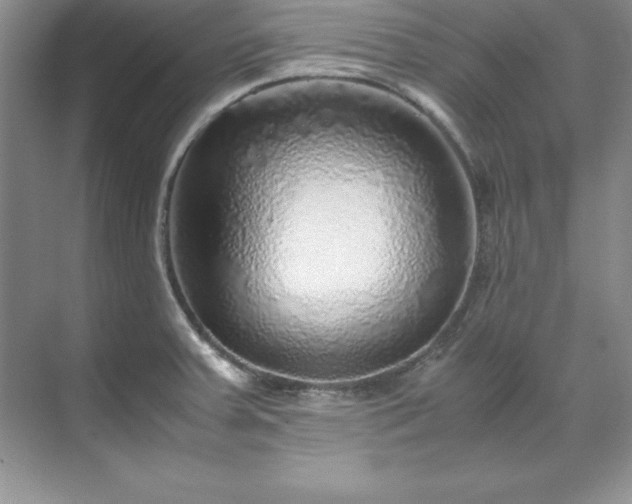 X0000071791379200607071444