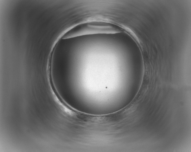 X0000071791387200607071444