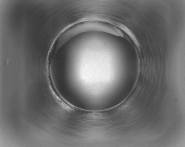 X0000071791388200607071444