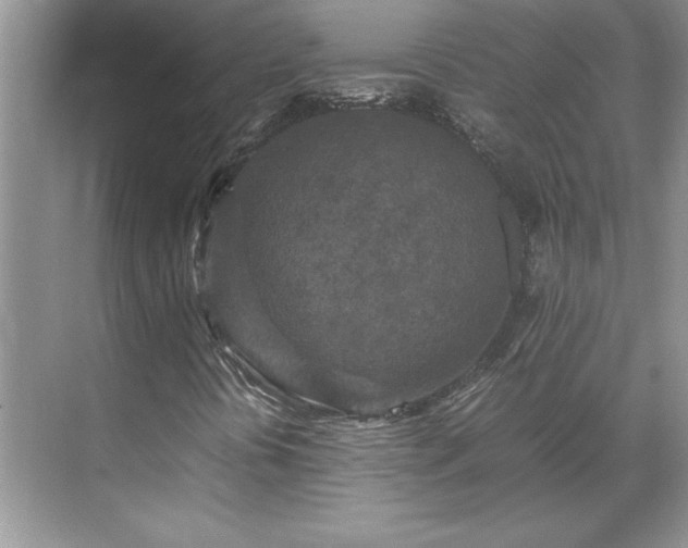 X0000071791394200607071443
