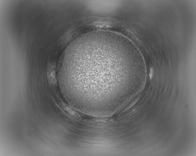 X0000071791396200607071443
