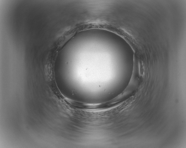 X0000071791398200607071443