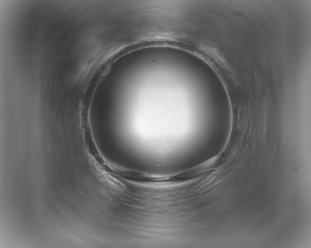 X0000071791404200607071443