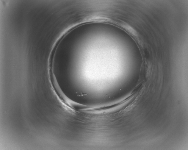 X0000071791430200607071444