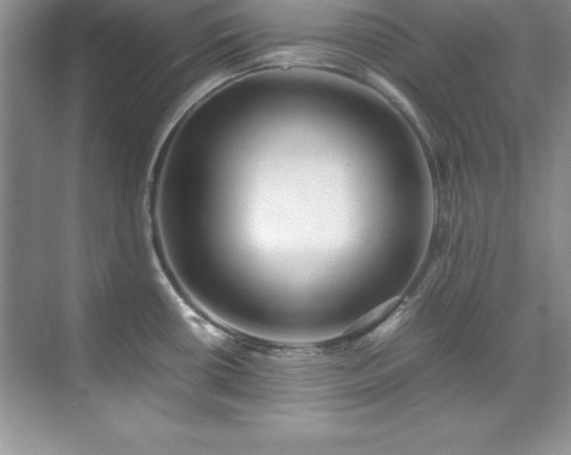 X0000071791434200607071444