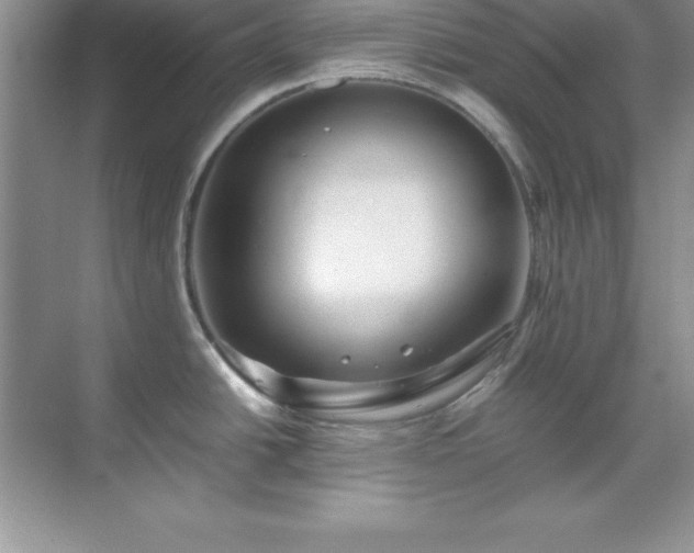 X0000071791438200607071444