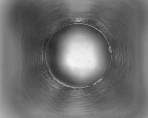 X0000071791442200607071443